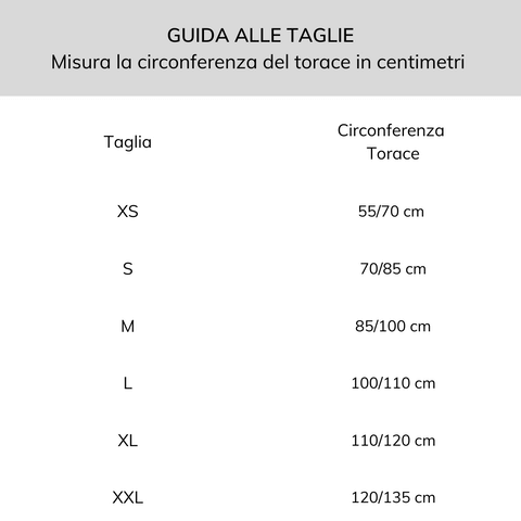 Immobilisateur de clavicule Roten - Octofix