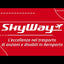 Surace | Carrozzina elettrica Skyway One